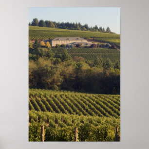 Archery Summit tan building sits atop hill Poster