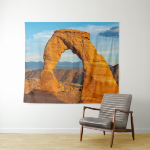 Arches National Park MOAB Utah Tapestry