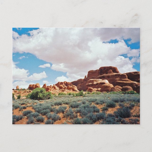 Arches National Park Postcard (Front)