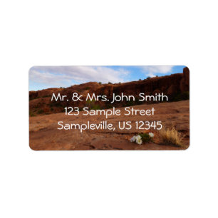 Arches Slickrock and Evening Primrose Landscape Label