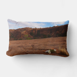 Arches Slickrock and Evening Primrose Landscape Lumbar Cushion