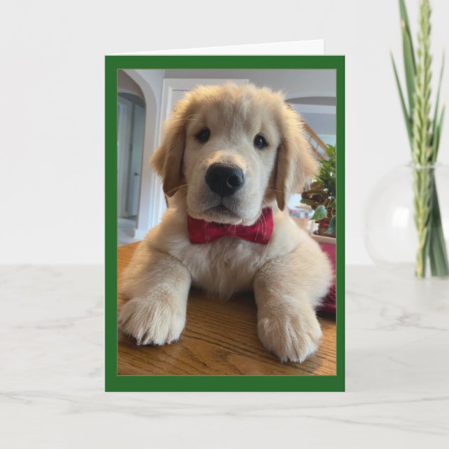 Archie Christmas Bowtie Thank You Card (Front)