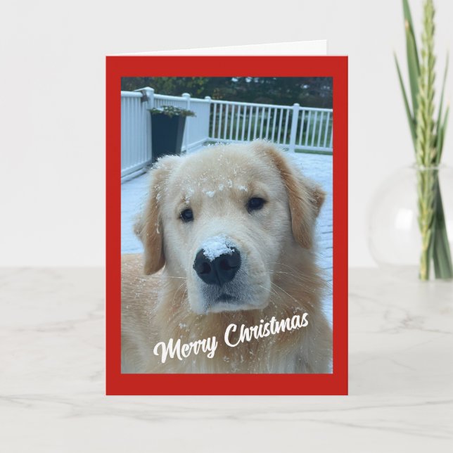 Archie Christmas Snow #3 Thank You Card (Front)