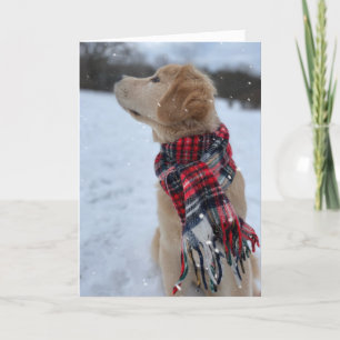 Archie Christmas Snow  Thank You Card