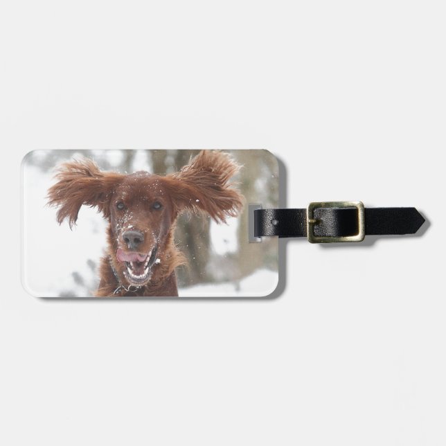 Archie II Luggage Tag (Front Horizontal)