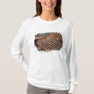 Architectural details in the Forbidden City, T-Shirt