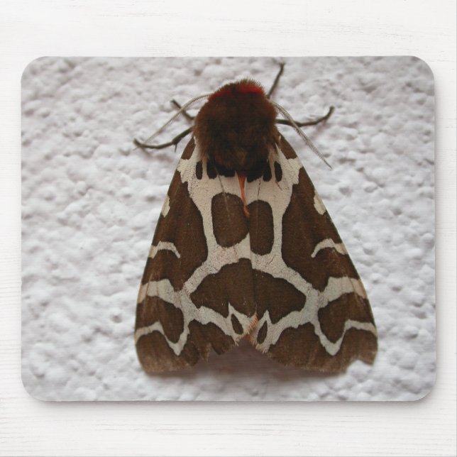 Arctia caja mouse pad (Front)