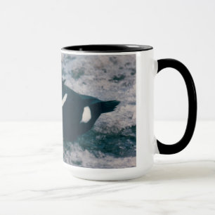 Arctic Alaska Waterfowl King Eider Male Photo Mug