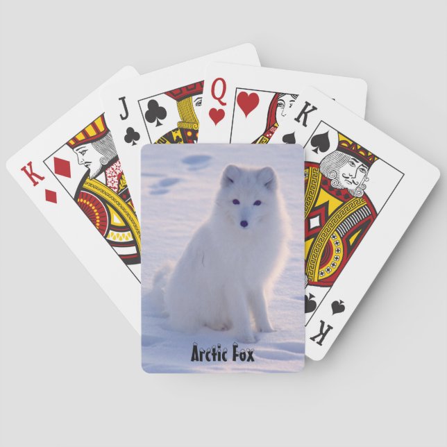 Arctic Alaskan White Fox Winter Pose Playing Cards (Back)