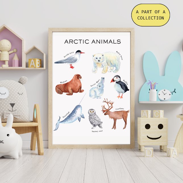 Arctic Animals Educational Poster (Creator Uploaded)