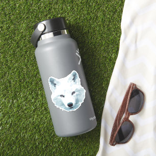 Arctic Fox