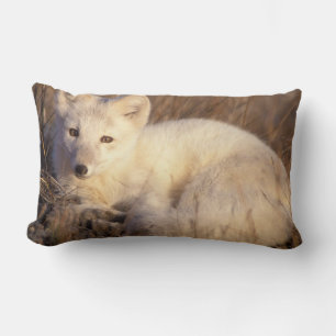 arctic fox, Alopex lagopus Lumbar Cushion