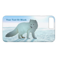 Arctic Fox