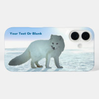Arctic Fox
