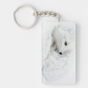 Arctic Fox curled up in winter Key Ring