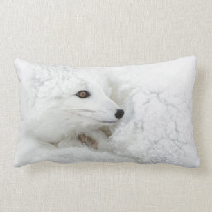 Arctic Fox curled up in winter Lumbar Cushion