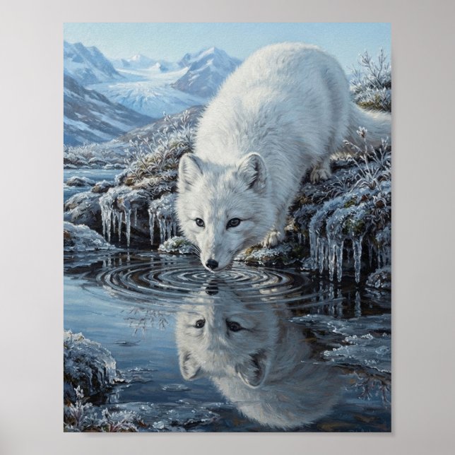 Arctic Fox Drinking Glacial Brook Water Reflection Poster (Front)