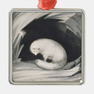 Arctic Fox, from 'Narrative of a Second Voyage in Metal Tree Decoration