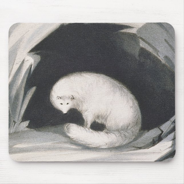 Arctic Fox, from 'Narrative of a Second Voyage in Mouse Pad (Front)