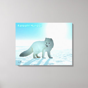Arctic Fox - Greenland Canvas Print