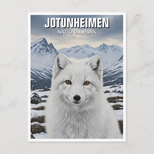 Arctic Fox in Jotunheimen National Park Norway Postcard (Front)