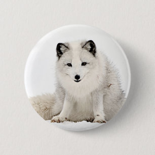 Arctic Fox in the Snow 6 Cm Round Badge