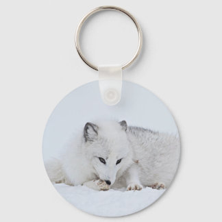 Arctic Fox in the Snow Key Ring