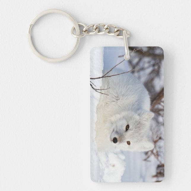 Arctic Fox in winter Key Ring (Front)