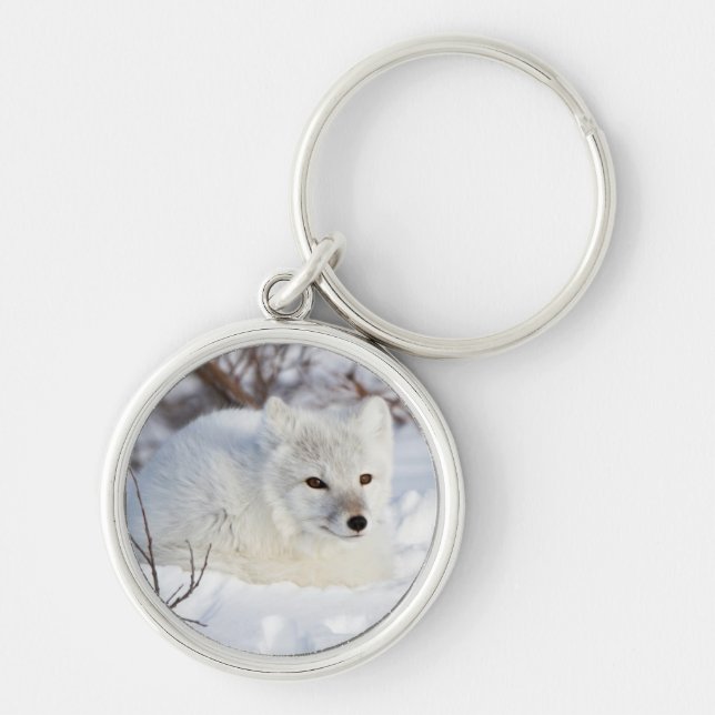 Arctic Fox in winter Key Ring (Front)