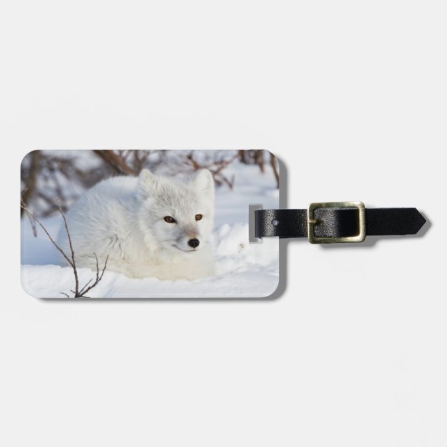 Arctic Fox in winter Luggage Tag (Front Horizontal)