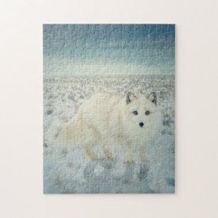 Arctic Fox Jigsaw Puzzle