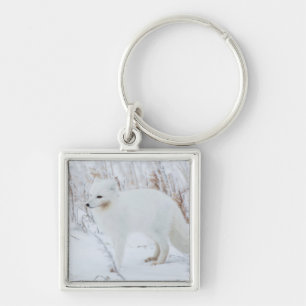 Arctic Fox Key Ring