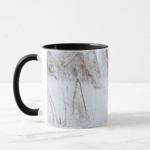 Arctic Fox Mug