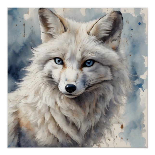 Arctic Fox no 3 Glossy Poster (Front)