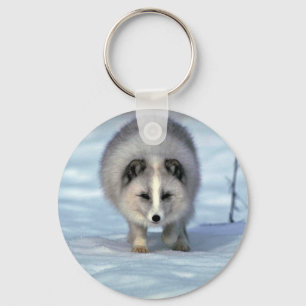 Arctic Fox on snow Key Ring