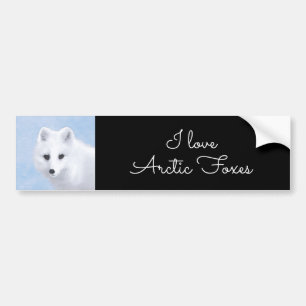 Arctic Fox Painting - Original Wildlife Art Bumper Sticker