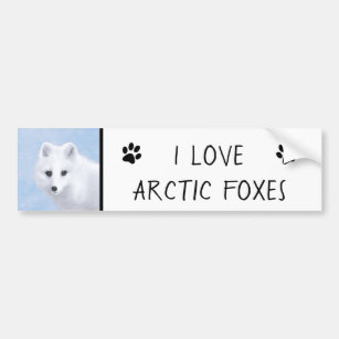 Arctic Fox Painting - Original Wildlife Art Bumper Sticker