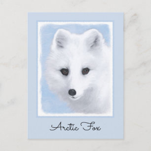 Arctic Fox Painting - Original Wildlife Art Postcard