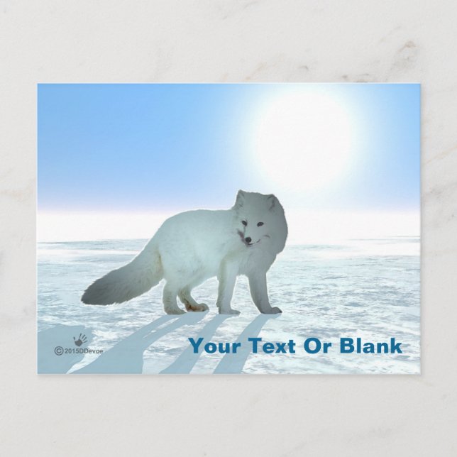 Arctic Fox Postcard (Front)