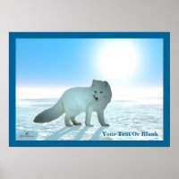 Arctic Fox