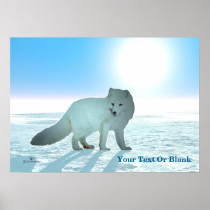 Arctic Fox Poster