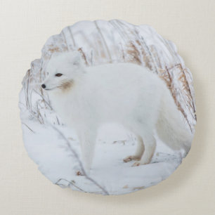Arctic Fox Round Cushion