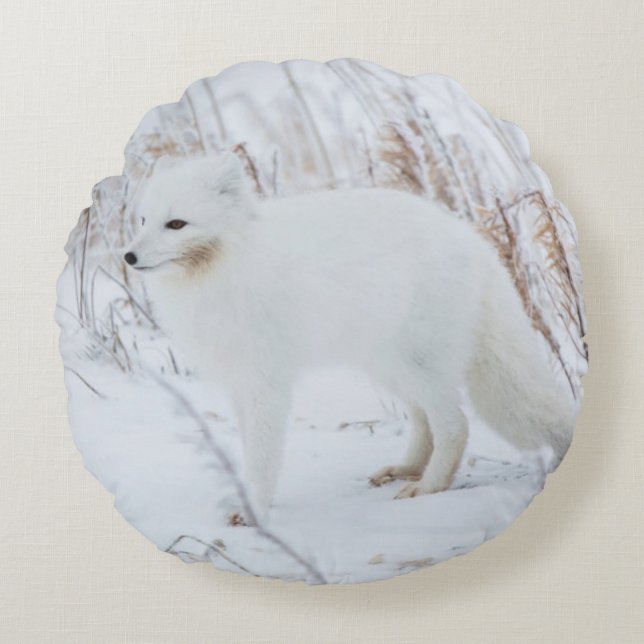 Arctic Fox Round Cushion (Front)