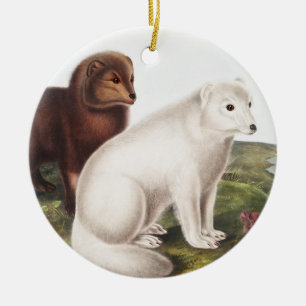Arctic Fox (Vulpes lagopus) Illustration Ceramic Tree Decoration