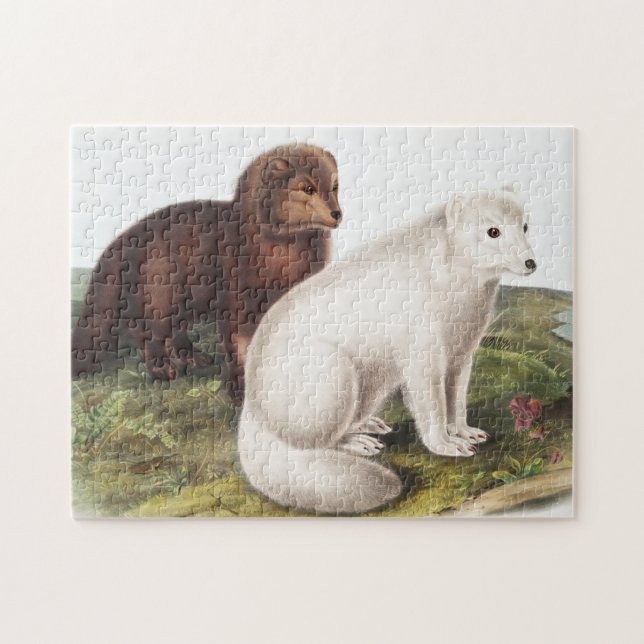 Arctic Fox (Vulpes lagopus) Illustration Jigsaw Puzzle (Horizontal)