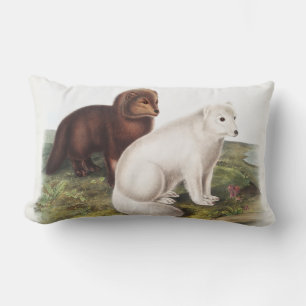 Arctic Fox (Vulpes lagopus) Illustration Lumbar Cushion