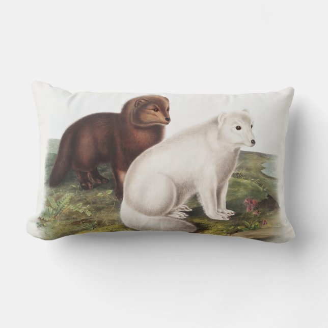 Arctic Fox (Vulpes lagopus) Illustration Lumbar Cushion (Front)