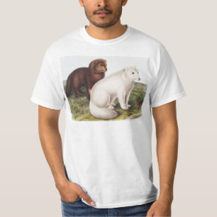 Arctic Fox (Vulpes lagopus) Illustration T-Shirt