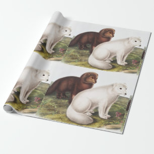 Arctic Fox (Vulpes lagopus) Illustration Wrapping Paper