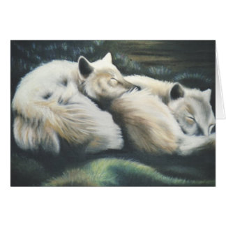 "Arctic Foxes"